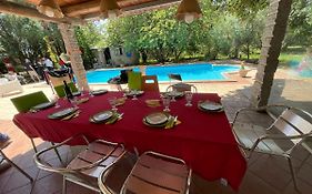 Big Relax Apartment With Swimming Pool And A Peaceful Garden In A Private Villa