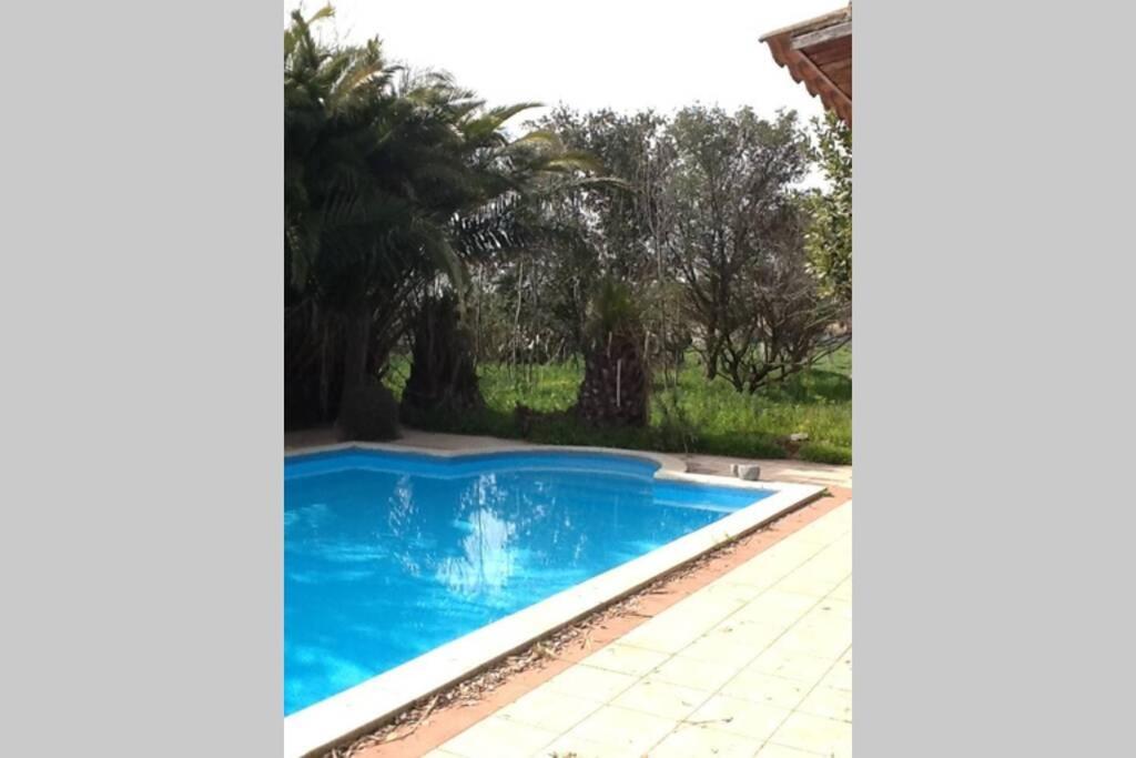 Big Relax Apartment With Swimming Pool And A Peaceful Garden In A Private Villa Sestu Extérieur photo