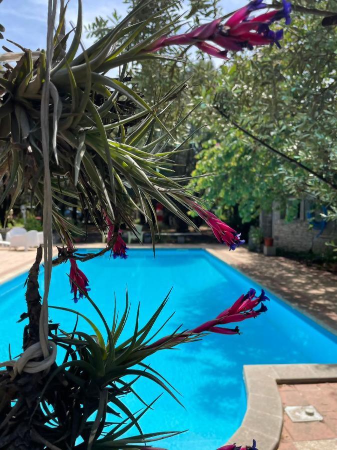 Big Relax Apartment With Swimming Pool And A Peaceful Garden In A Private Villa Sestu Extérieur photo